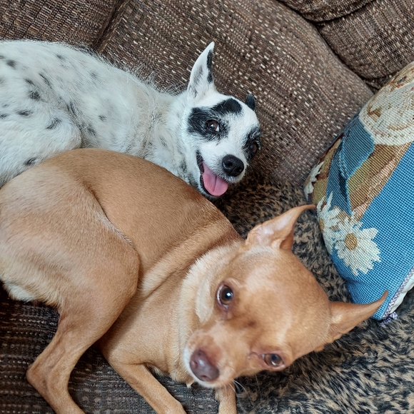 Rest In Peace - Picture 6 of 13